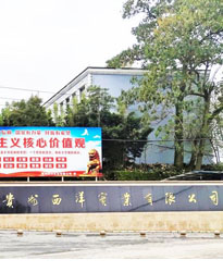 貴州西洋實(shí)業(yè)項(xiàng)目--借助眾升科技10KV戶外箱變式無功補(bǔ)償裝置，功率因數(shù)達(dá)標(biāo)！