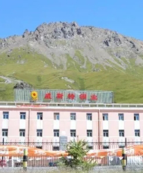 眾升科技系統(tǒng)輕載補(bǔ)償裝置--助力青海威斯特銅業(yè)有限責(zé)任公司，高效用電、改善電能質(zhì)量！